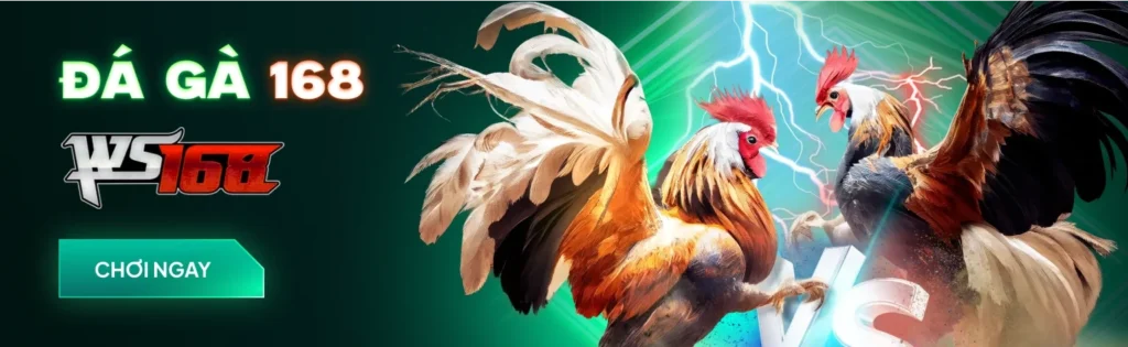 Img Games Chicken Hero Banner Section V250710